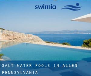 Salt Water Pools in Allen (Pennsylvania)