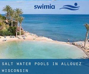 Salt Water Pools in Allouez (Wisconsin)