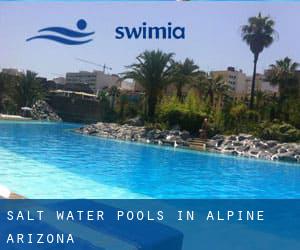 Salt Water Pools in Alpine (Arizona)