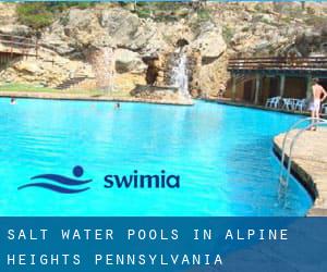 Salt Water Pools in Alpine Heights (Pennsylvania)