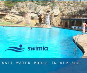 Salt Water Pools in Alplaus