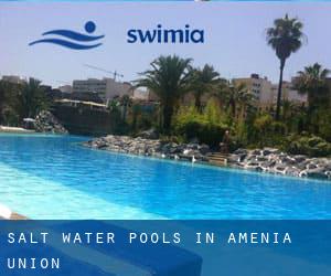 Salt Water Pools in Amenia Union