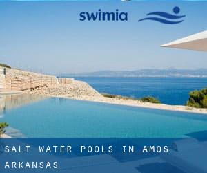 Salt Water Pools in Amos (Arkansas)