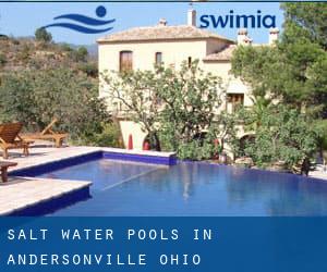 Salt Water Pools in Andersonville (Ohio)