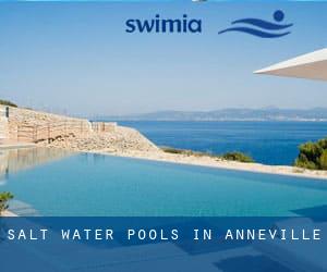 Salt Water Pools in Anneville