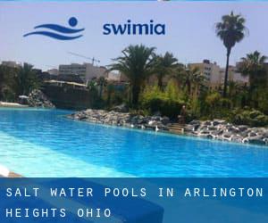 Salt Water Pools in Arlington Heights (Ohio)