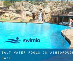 Salt Water Pools in Ashborough East