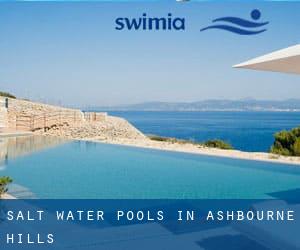 Salt Water Pools in Ashbourne Hills