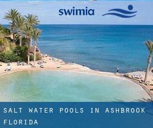 Salt Water Pools in Ashbrook (Florida)