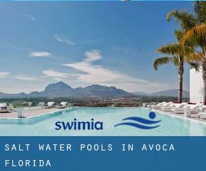 Salt Water Pools in Avoca (Florida)