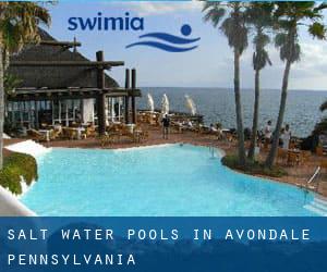 Salt Water Pools in Avondale (Pennsylvania)