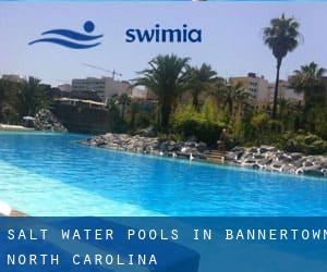 Salt Water Pools in Bannertown (North Carolina)