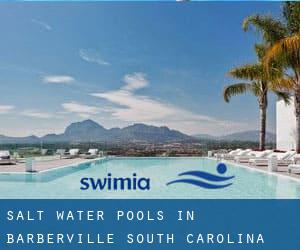 Salt Water Pools in Barberville (South Carolina)