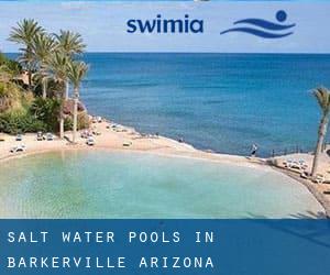 Salt Water Pools in Barkerville (Arizona)