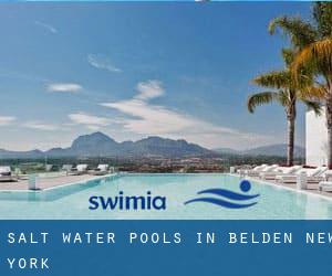 Salt Water Pools in Belden (New York)