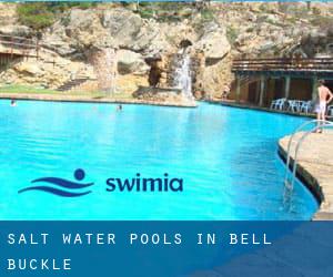 Salt Water Pools in Bell Buckle