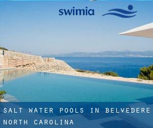 Salt Water Pools in Belvedere (North Carolina)