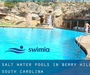 Salt Water Pools in Berry Hill (South Carolina)