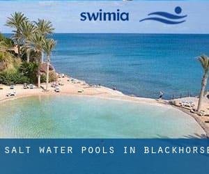 Salt Water Pools in Blackhorse