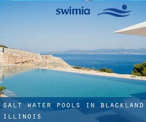 Salt Water Pools in Blackland (Illinois)