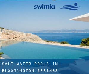 Salt Water Pools in Bloomington Springs