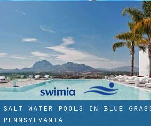 Salt Water Pools in Blue Grass (Pennsylvania)