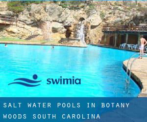 Salt Water Pools in Botany Woods (South Carolina)