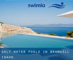 Salt Water Pools in Bramwell (Idaho)