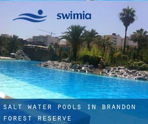 Salt Water Pools in Brandon Forest Reserve