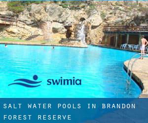 Salt Water Pools in Brandon Forest Reserve