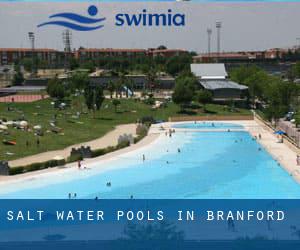 Salt Water Pools in Branford