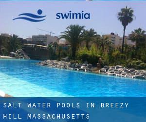 Salt Water Pools in Breezy Hill (Massachusetts)