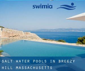 Salt Water Pools in Breezy Hill (Massachusetts)