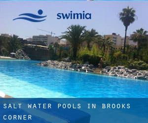 Salt Water Pools in Brooks Corner