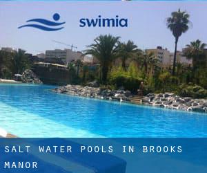 Salt Water Pools in Brooks Manor