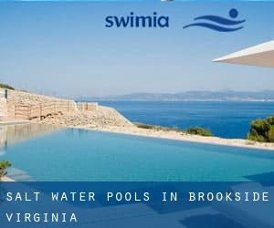 Salt Water Pools in Brookside (Virginia)