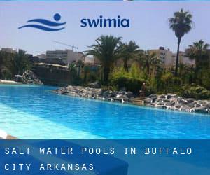 Salt Water Pools in Buffalo City (Arkansas)