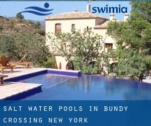 Salt Water Pools in Bundy Crossing (New York)