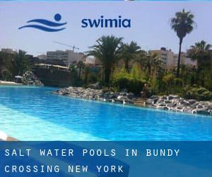 Salt Water Pools in Bundy Crossing (New York)