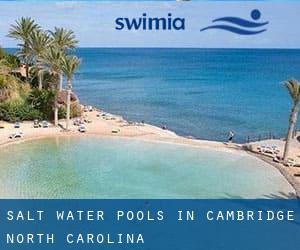 Salt Water Pools in Cambridge (North Carolina)