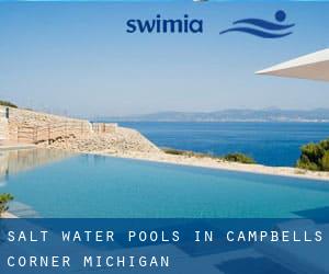 Salt Water Pools in Campbells Corner (Michigan)