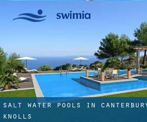 Salt Water Pools in Canterbury Knolls