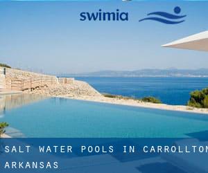 Salt Water Pools in Carrollton (Arkansas)