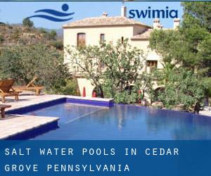 Salt Water Pools in Cedar Grove (Pennsylvania)