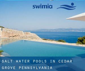 Salt Water Pools in Cedar Grove (Pennsylvania)