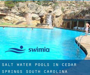 Salt Water Pools in Cedar Springs (South Carolina)