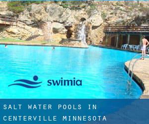 Salt Water Pools in Centerville (Minnesota)