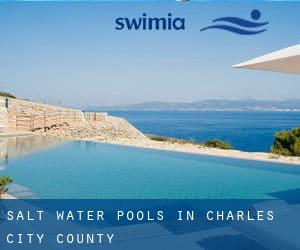 Salt Water Pools in Charles City County