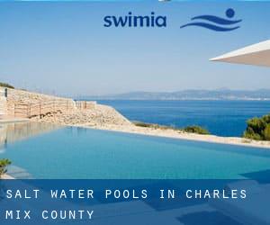 Salt Water Pools in Charles Mix County