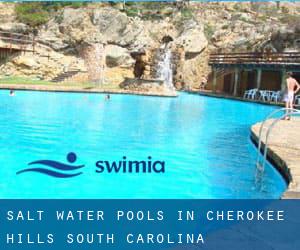 Salt Water Pools in Cherokee Hills (South Carolina)